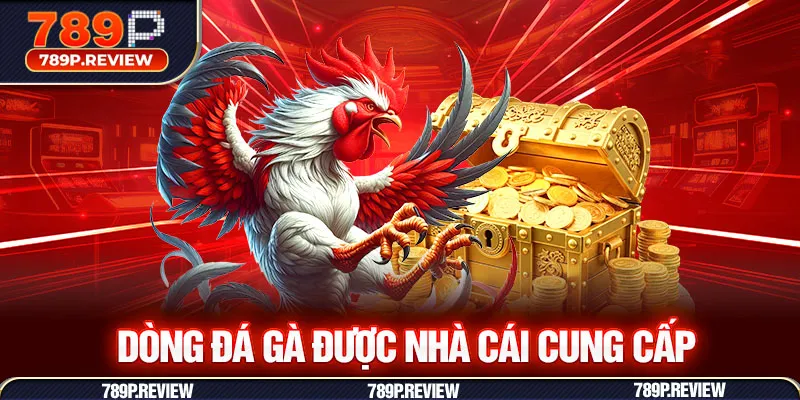 Dòng đá gà được nhà cái cung cấp