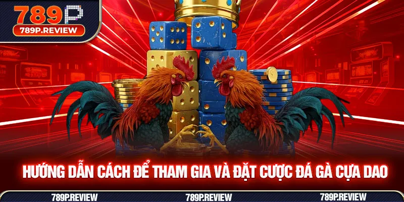 Hướng dẫn cách để tham gia và đặt cược đá gà cựa dao