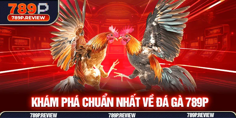 Khám phá chuẩn nhất về đá gà 789P